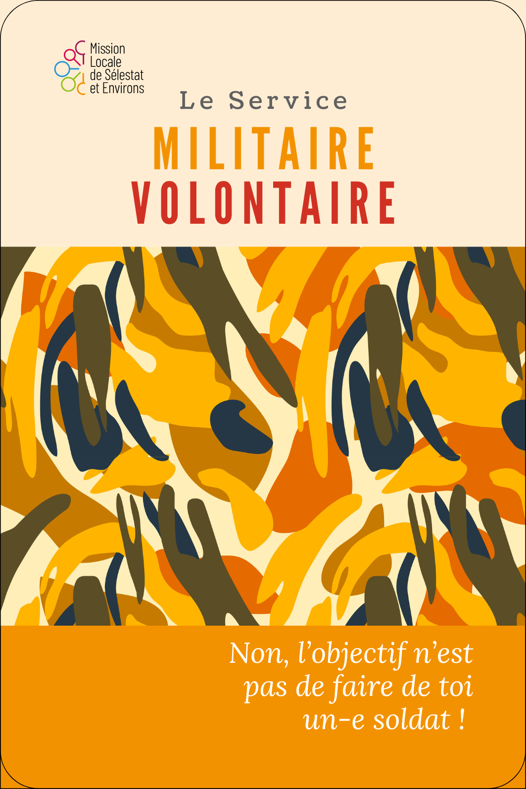 Le Service Militaire Volontaire